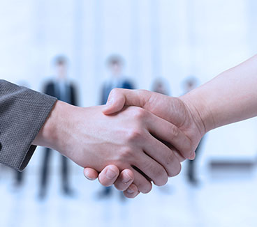 �ϸ�������